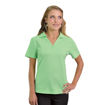 Picture of Ladies Y-neck Polo - While stocks last