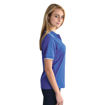 Picture of Ladies Pencil Stripe Golfer - Royal/White - While Stocks Last