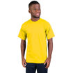 Picture of 150g Super Cotton T-shirt - Yellow- End Of Range