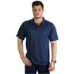 Picture of Classic Sports Polo