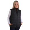 Picture of ZLPJ1 - Alternative stock - Ladies Zip Off Sleeve Puffer Jacket (No returns) - Black - While Stocks Last
