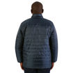 Picture of Ballista Puffer Jacket - Navy - While Stocks Last