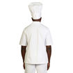 Picture of Stanley Chef Jacket - Short Sleeve