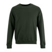 Olive - Front