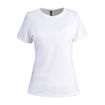 White - Front