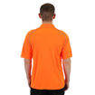 Model Back