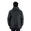 Model back