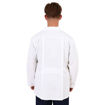 Back Model 