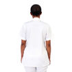 Back Model 