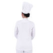 Back Model