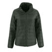 Olive - Front