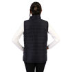 Picture of Unisex Berg Bodywarmer - while stocks last