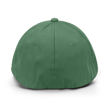 Olive Green (back)