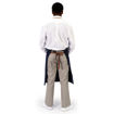 Model - back