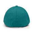 Teal (back)