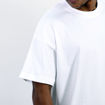 Model - Shoulder