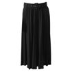 Picture of Sofia Pleated Skirt