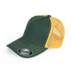 Green/gold - side