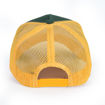 Green/gold - back