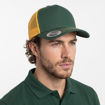 Green/gold - model